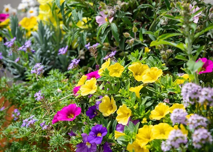 Panzió La Botte E Il Vino 4*